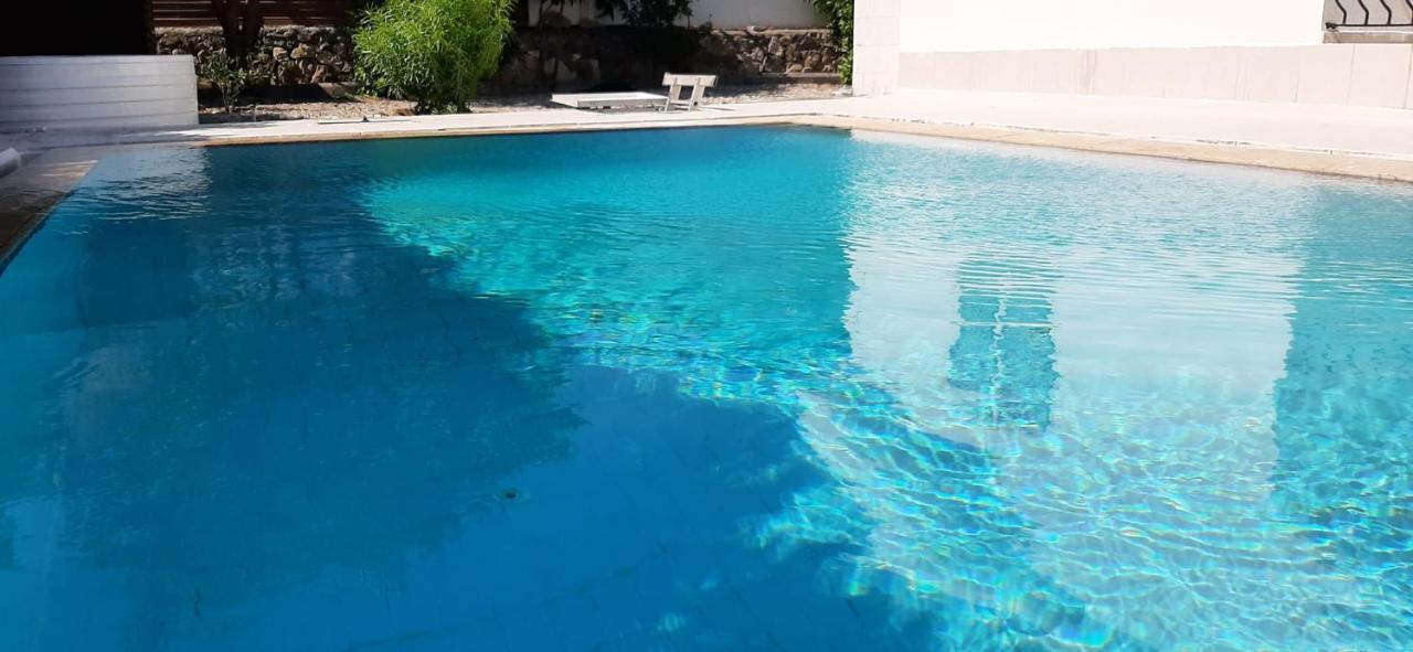 Villa Bougainvillea With Privite Pool Vasilia Extérieur photo