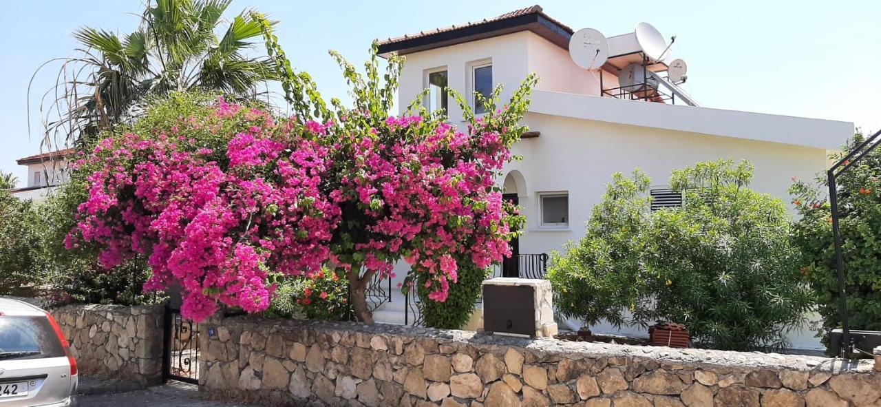 Villa Bougainvillea With Privite Pool Vasilia Extérieur photo
