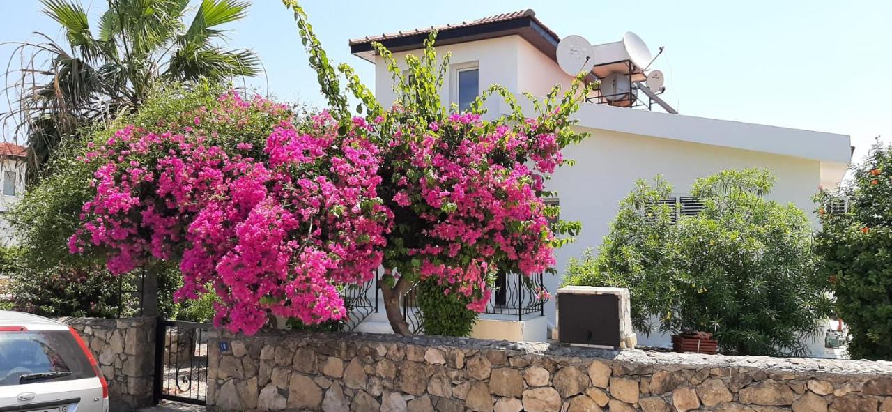 Villa Bougainvillea With Privite Pool Vasilia Extérieur photo