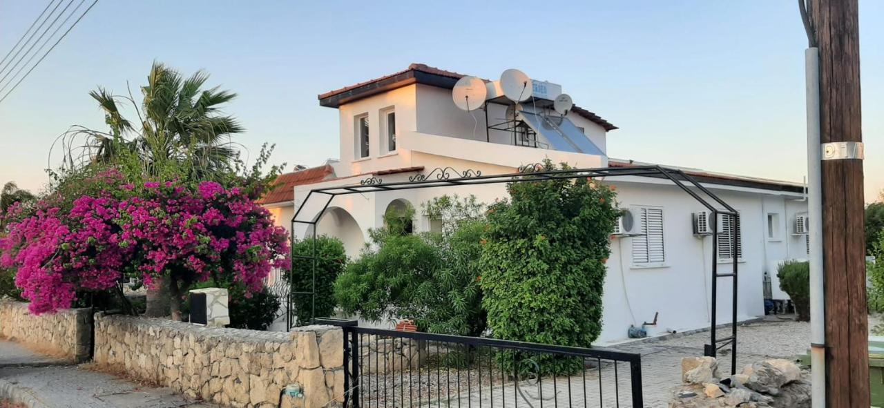 Villa Bougainvillea With Privite Pool Vasilia Extérieur photo
